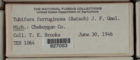 Image Associated With the Occurence